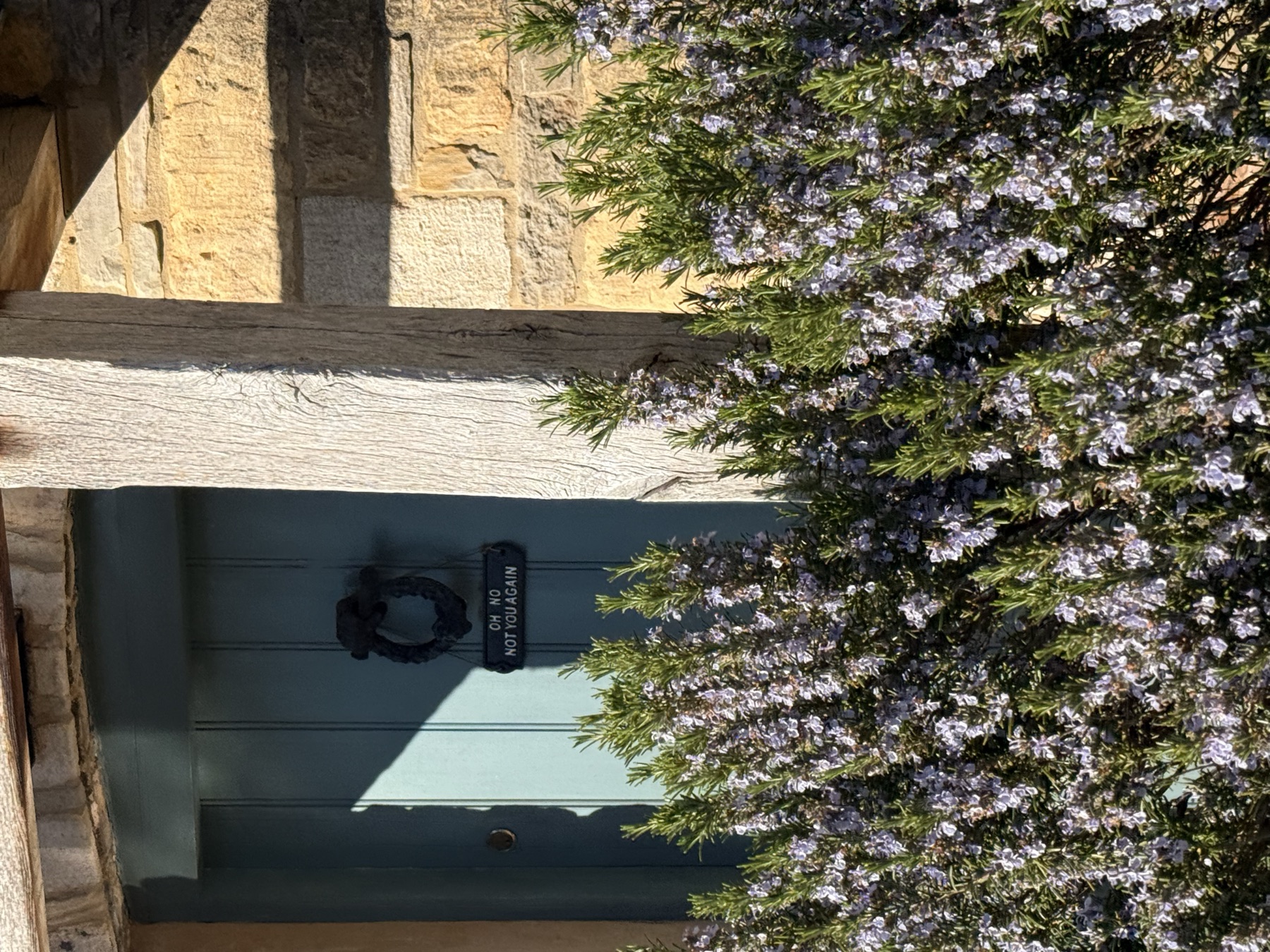 Blue door and rosemary outside a Cotswolds cottage